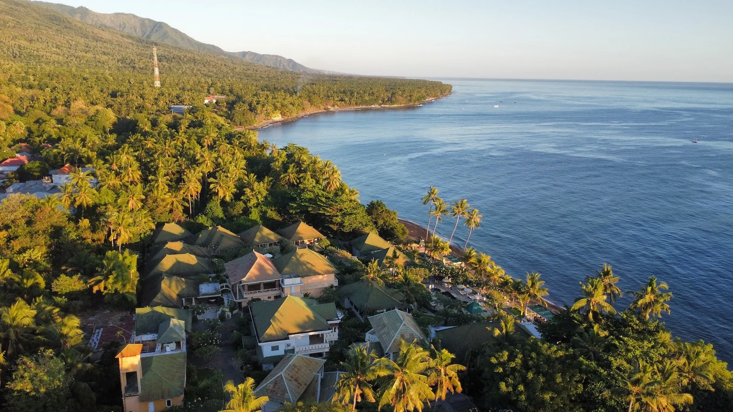 Aerial view of Poinciana trees at the Bali healing retreat